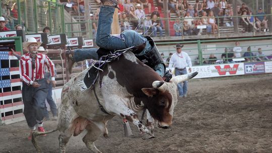 Action aplenty at Rough Stock Rodeo