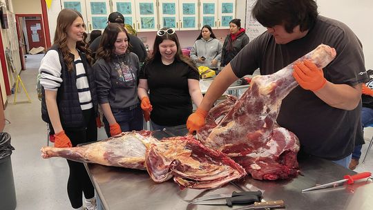 Buffalo Boys teach Cusick High meat-processing lab