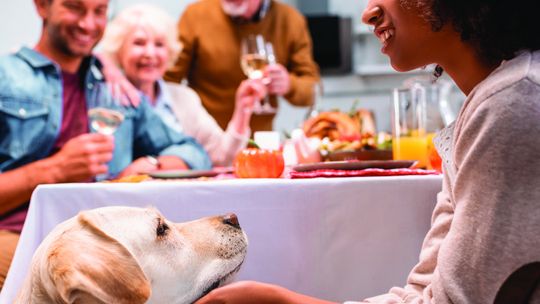 COZY UP TO PEACE OF MIND