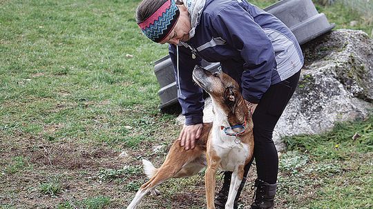 Good boy, good trainer