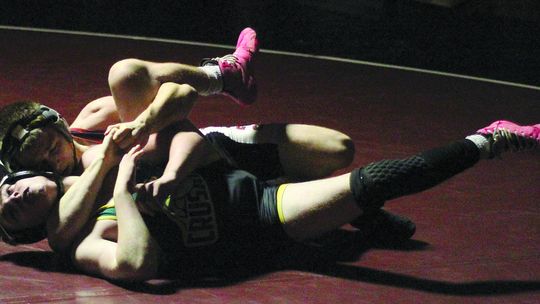 Grizzlies get a hold on Crusaders