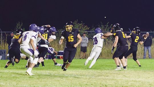 Hard open at home for Panthers