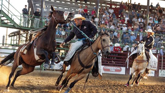 Highlights from Newport Rough Stock Rodeo