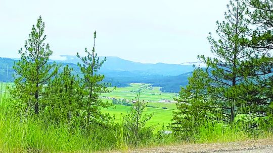 Hop on: Half-Century Bicycle Tour returning soon