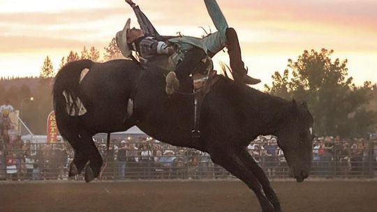Keogh brothers qualify for national high school rodeo finals