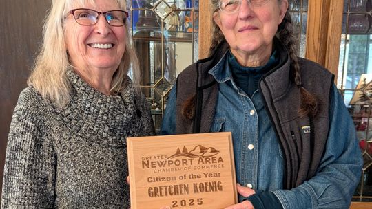 Local businesses, individuals honored at Chamber Gala