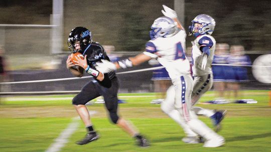 Lumberjacks struggle with Curlew