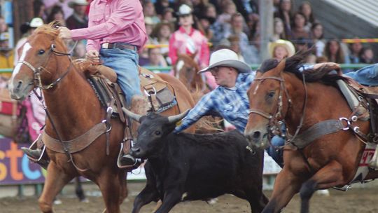 Newport Rodeo Champions