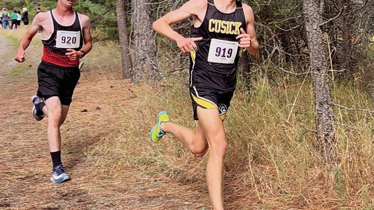 Panther runners place high in first meets