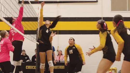 Panther volleyball hits five-game win streak
