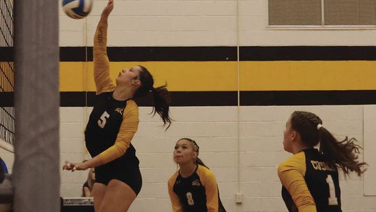 Panther volleyball opens season with loss, win