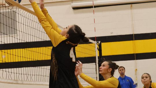 Panthers claw straight-set volleyball win