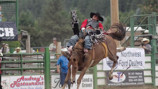 Ropers cash in at Newport Rodeo