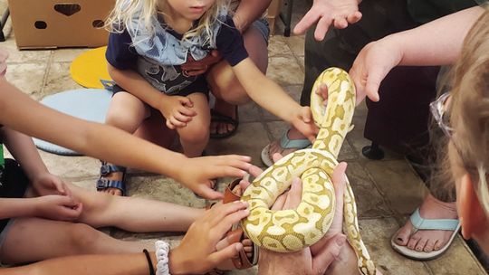 Slithery Storytime