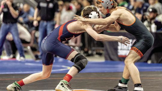 Spartans medal, break records at state