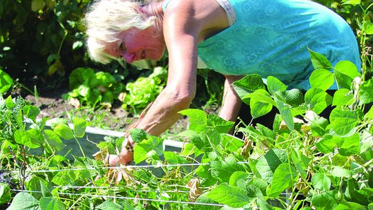 Weeding at the community garden