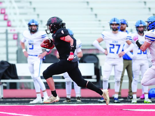 2025 - A Year in Review