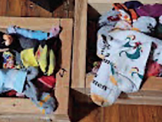 A true sock collector