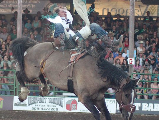 This bareback rider is showing how to spur one during Friday’s show