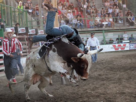 Action aplenty at Rough Stock Rodeo