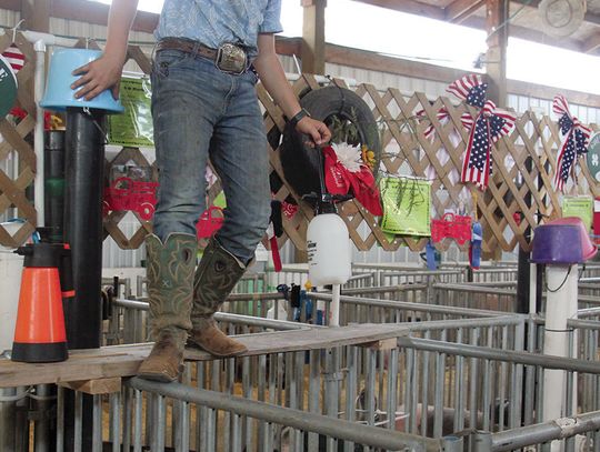 Bonner County Fair 2025