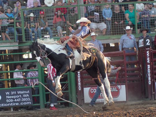 Bronc rider cashes in at Newport, Sandpoint