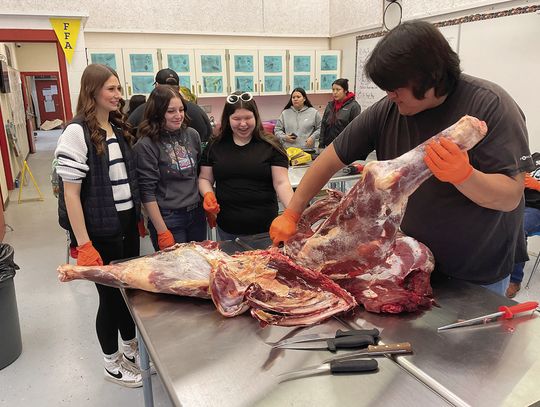 Buffalo Boys teach Cusick High meat-processing lab