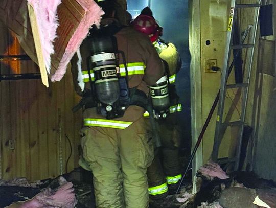 Cat rescued from house fire