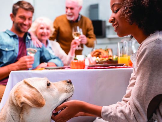 COZY UP TO PEACE OF MIND