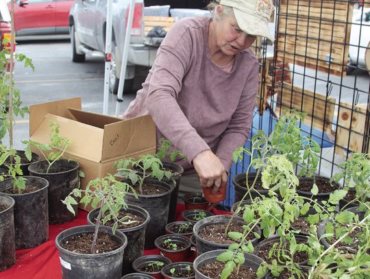 Farmers market opens for season