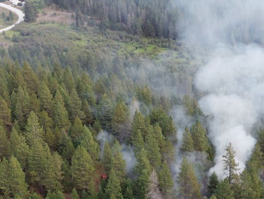 Fire on Scotia Road kept below two acres