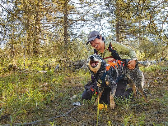 Go rogue with science