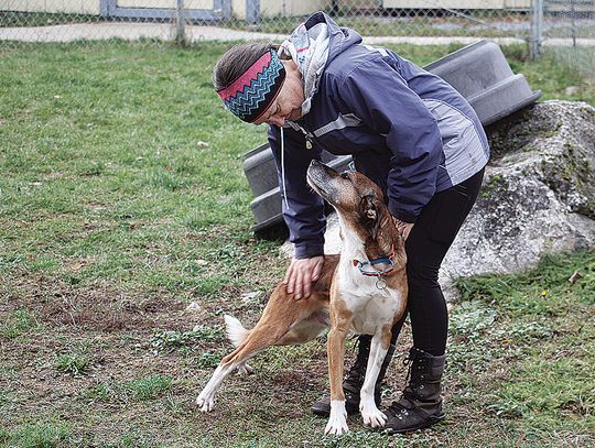 Good boy, good trainer