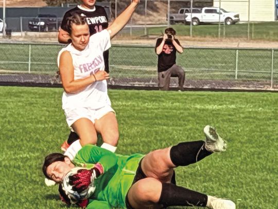 Grizzlies face off against Scotties