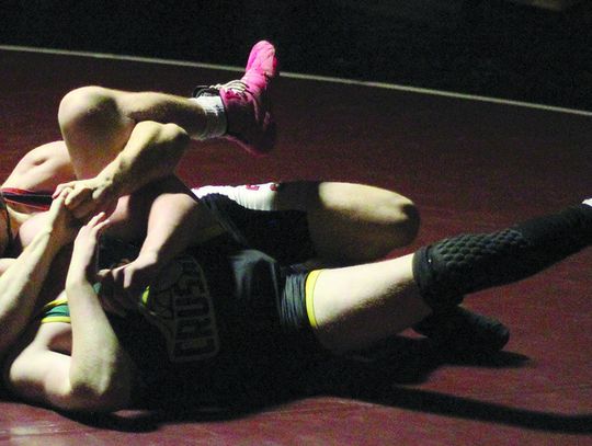 Grizzlies get a hold on Crusaders