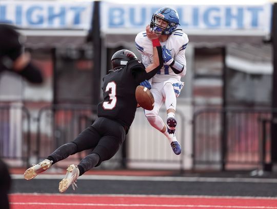 Grizzlies’ season stopped at state