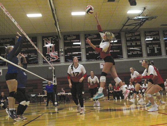 Grizzly volleyball reigns triumphant