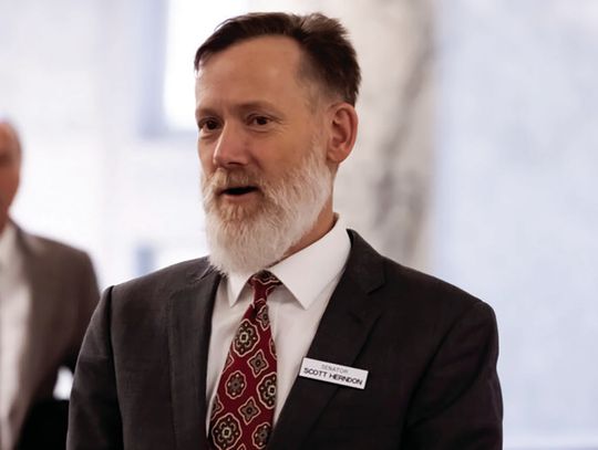 Herndon files complaint against state’s top election official