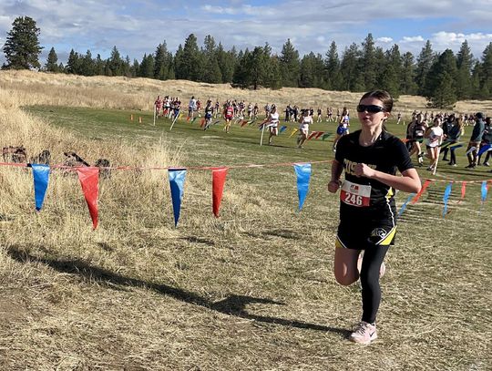 In program first, Panther boys and girls race