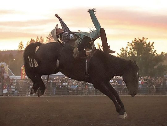 Keogh brothers qualify for national high school rodeo finals