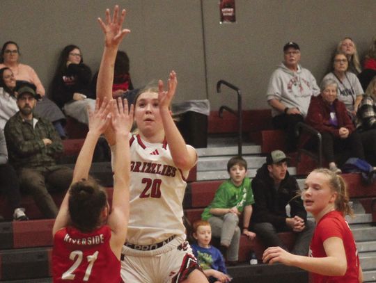 Lady Grizzlies drop first District game