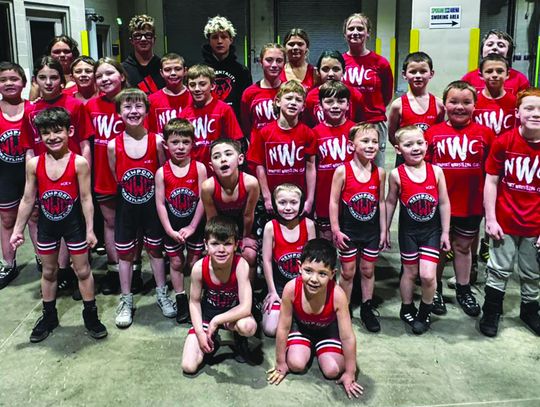 Little Guy wrestlers wrap up big season