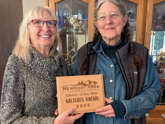 Local businesses, individuals honored at Chamber Gala