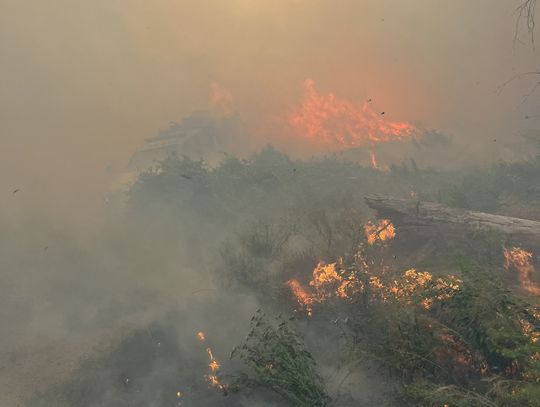 Local fire crews step up to help Chelan