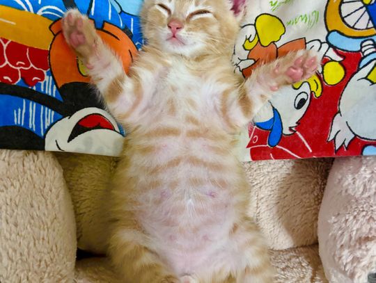 Look at that belly