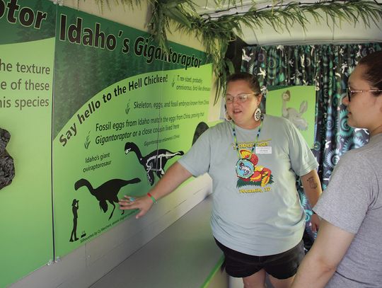 Looking at dinosaurs