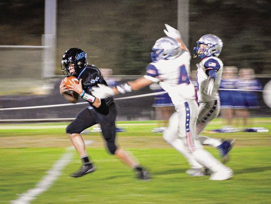 Lumberjacks struggle with Curlew
