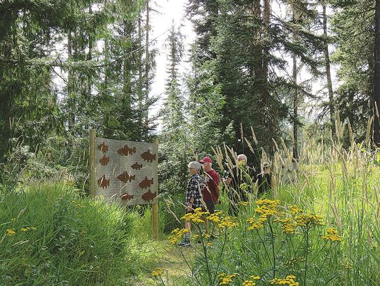 Memory Gardens celebrating 10-year anniversary