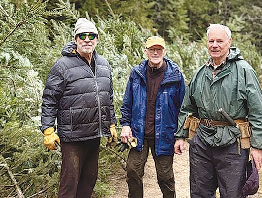 Memory Gardens giving free Christmas trees