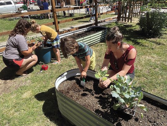 Newport Community Garden planting day